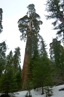 Filename=P1030291.JPG
Filesize=4338KiB
Dimensions=2880x4320
Date added=Sep 23, 2019 P1030291.JPG