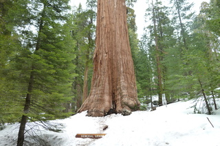 Filename=P1030293.JPG
Filesize=5456KiB
Dimensions=4320x2880
Date added=Sep 23, 2019 P1030293.JPG