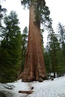 Filename=P1030294.JPG
Filesize=4764KiB
Dimensions=2880x4320
Date added=Sep 23, 2019 P1030294.JPG