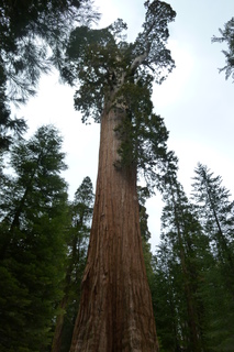 Filename=P1030295.JPG
Filesize=4662KiB
Dimensions=2880x4320
Date added=Sep 23, 2019 P1030295.JPG