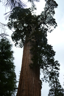 Filename=P1030297.JPG
Filesize=4470KiB
Dimensions=2880x4320
Date added=Sep 23, 2019 P1030297.JPG