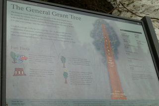 Filename=P1030298.JPG
Filesize=4957KiB
Dimensions=4320x2880
Date added=Sep 23, 2019 P1030298.JPG