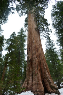 Filename=P1030300.JPG
Filesize=4327KiB
Dimensions=2880x4320
Date added=Sep 23, 2019 P1030300.JPG