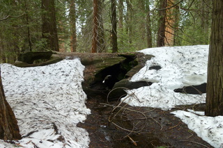 Filename=P1030302.JPG
Filesize=5465KiB
Dimensions=4320x2880
Date added=Sep 23, 2019 P1030302.JPG