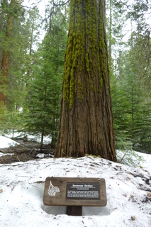 Filename=P1030304.JPG
Filesize=4635KiB
Dimensions=2880x4320
Date added=Sep 23, 2019 P1030304.JPG