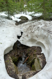 Filename=P1030306.JPG
Filesize=4762KiB
Dimensions=2880x4320
Date added=Sep 23, 2019 P1030306.JPG