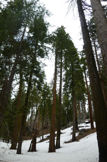 Filename=P1030310.JPG
Filesize=4699KiB
Dimensions=2880x4320
Date added=Sep 23, 2019 P1030310.JPG