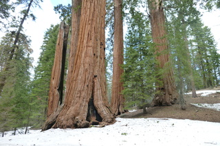 Filename=P1030321.JPG
Filesize=5462KiB
Dimensions=4320x2880
Date added=Sep 23, 2019 P1030321.JPG