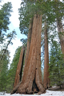 Filename=P1030322.JPG
Filesize=4258KiB
Dimensions=2880x4320
Date added=Sep 23, 2019 P1030322.JPG