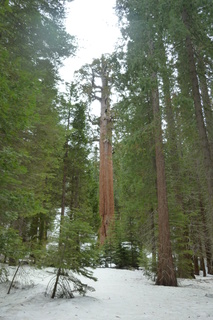 Filename=P1030325.JPG
Filesize=4529KiB
Dimensions=2880x4320
Date added=Sep 23, 2019 P1030325.JPG