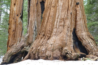 Filename=P1030328.JPG
Filesize=5576KiB
Dimensions=4320x2880
Date added=Sep 23, 2019 P1030328.JPG