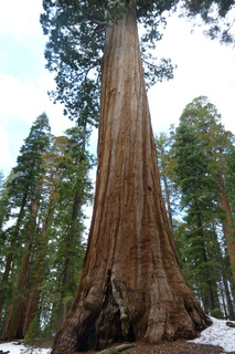 Filename=P1030334.JPG
Filesize=4726KiB
Dimensions=2880x4320
Date added=Sep 23, 2019 P1030334.JPG