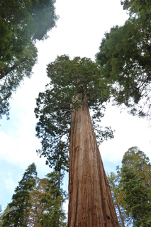 Filename=P1030335.JPG
Filesize=4690KiB
Dimensions=2880x4320
Date added=Sep 23, 2019 P1030335.JPG