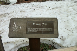 Filename=P1030336.JPG
Filesize=5021KiB
Dimensions=4320x2880
Date added=Sep 23, 2019 P1030336.JPG