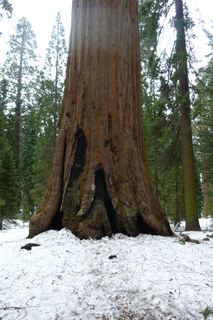 Filename=P1030338.JPG
Filesize=4586KiB
Dimensions=2880x4320
Date added=Sep 23, 2019 P1030338.JPG