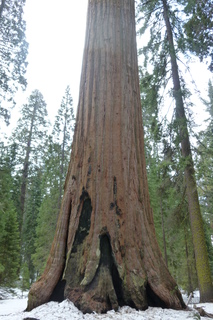 Filename=P1030340.JPG
Filesize=4767KiB
Dimensions=2880x4320
Date added=Sep 23, 2019 P1030340.JPG