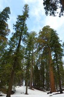 Filename=P1030341.JPG
Filesize=4460KiB
Dimensions=2880x4320
Date added=Sep 23, 2019 P1030341.JPG