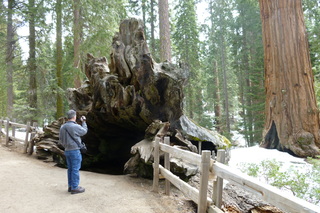 Filename=P1030346.JPG
Filesize=5394KiB
Dimensions=4320x2880
Date added=Sep 23, 2019 P1030346.JPG