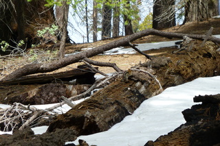 Filename=P1030348.JPG
Filesize=5357KiB
Dimensions=4320x2880
Date added=Sep 23, 2019 P1030348.JPG