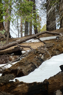 Filename=P1030350.JPG
Filesize=4619KiB
Dimensions=2880x4320
Date added=Sep 23, 2019 P1030350.JPG