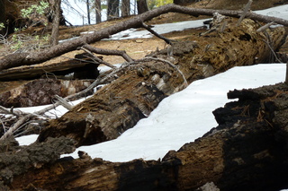 Filename=P1030351.JPG
Filesize=5411KiB
Dimensions=4320x2880
Date added=Sep 23, 2019 P1030351.JPG