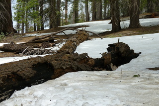 Filename=P1030352.JPG
Filesize=5505KiB
Dimensions=4320x2880
Date added=Sep 23, 2019 P1030352.JPG