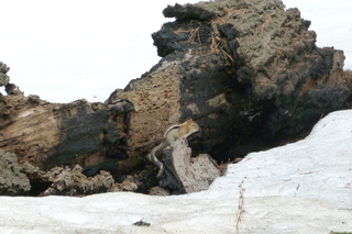 Filename=P1030355.JPG
Filesize=5197KiB
Dimensions=4320x2880
Date added=Sep 23, 2019 P1030355.JPG