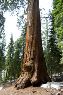 Filename=P1030360.JPG
Filesize=4348KiB
Dimensions=2880x4320
Date added=Sep 23, 2019 P1030360.JPG