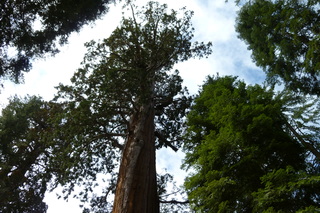 Filename=P1030361.JPG
Filesize=5516KiB
Dimensions=4320x2880
Date added=Sep 23, 2019 P1030361.JPG