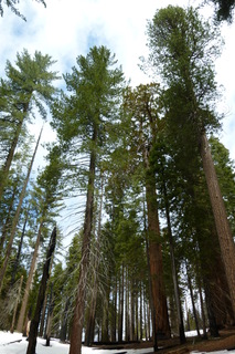 Filename=P1030363.JPG
Filesize=4392KiB
Dimensions=2880x4320
Date added=Sep 23, 2019 P1030363.JPG