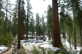 Filename=P1030364.JPG
Filesize=4891KiB
Dimensions=4320x2880
Date added=Sep 23, 2019 P1030364.JPG