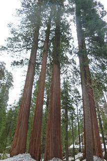 Filename=P1030366.JPG
Filesize=4801KiB
Dimensions=2880x4320
Date added=Sep 23, 2019 P1030366.JPG