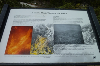 Filename=P1030367.JPG
Filesize=5090KiB
Dimensions=4320x2880
Date added=Sep 23, 2019 P1030367.JPG