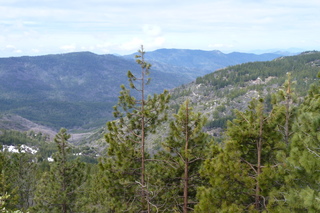 Filename=P1030369.JPG
Filesize=5000KiB
Dimensions=4320x2880
Date added=Sep 23, 2019 P1030369.JPG