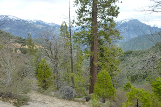 Filename=P1030373.JPG
Filesize=5605KiB
Dimensions=4320x2880
Date added=Sep 23, 2019 P1030373.JPG