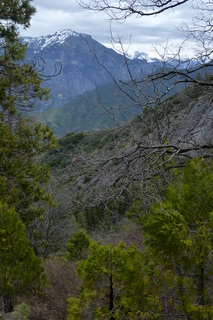 Filename=P1030374.JPG
Filesize=4286KiB
Dimensions=2880x4320
Date added=Sep 23, 2019 P1030374.JPG