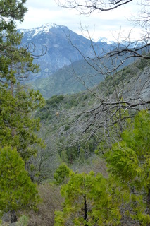 Filename=P1030375.JPG
Filesize=4348KiB
Dimensions=2880x4320
Date added=Sep 23, 2019 P1030375.JPG