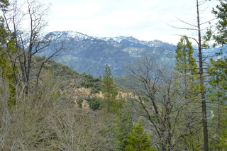 Filename=P1030376.JPG
Filesize=5164KiB
Dimensions=4320x2880
Date added=Sep 23, 2019 P1030376.JPG