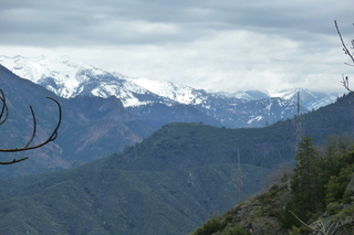 Filename=P1030378.JPG
Filesize=5120KiB
Dimensions=4320x2880
Date added=Sep 23, 2019 P1030378.JPG