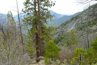 Filename=P1030379.JPG
Filesize=5178KiB
Dimensions=4320x2880
Date added=Sep 23, 2019 P1030379.JPG