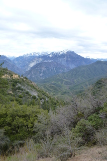 Filename=P1030384.JPG
Filesize=4394KiB
Dimensions=2880x4320
Date added=Sep 23, 2019 P1030384.JPG