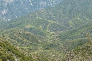 Filename=P1030389.JPG
Filesize=4912KiB
Dimensions=4320x2880
Date added=Sep 23, 2019 P1030389.JPG