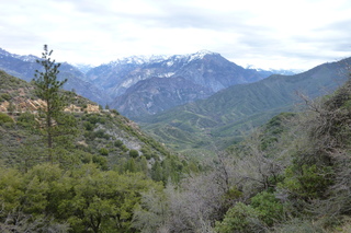 Filename=P1030391.JPG
Filesize=5474KiB
Dimensions=4320x2880
Date added=Sep 23, 2019 P1030391.JPG