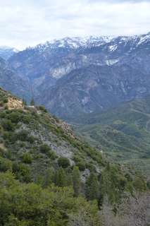 Filename=P1030392.JPG
Filesize=4563KiB
Dimensions=2880x4320
Date added=Sep 23, 2019 P1030392.JPG