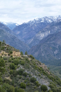 Filename=P1030393.JPG
Filesize=4292KiB
Dimensions=2880x4320
Date added=Sep 23, 2019 P1030393.JPG