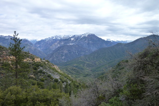 Filename=P1030395.JPG
Filesize=5096KiB
Dimensions=4320x2880
Date added=Sep 23, 2019 P1030395.JPG