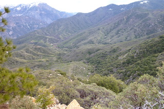 Filename=P1030398.JPG
Filesize=4932KiB
Dimensions=4320x2880
Date added=Sep 23, 2019 P1030398.JPG