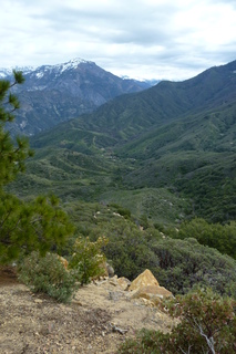 Filename=P1030399.JPG
Filesize=4557KiB
Dimensions=2880x4320
Date added=Sep 23, 2019 P1030399.JPG