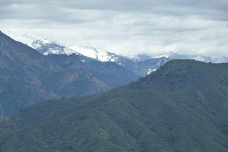 Filename=P1030402.JPG
Filesize=5085KiB
Dimensions=4320x2880
Date added=Sep 23, 2019 P1030402.JPG