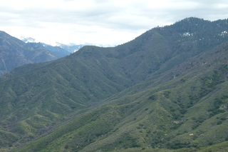 Filename=P1030403.JPG
Filesize=4889KiB
Dimensions=4320x2880
Date added=Sep 23, 2019 P1030403.JPG